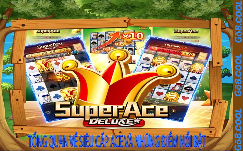 Tổng Quan Về Siêu Cấp ACE Và Những Điểm Nổi Bật